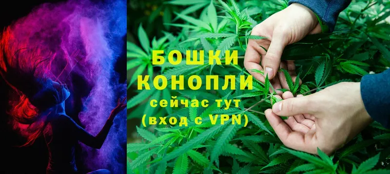 Каннабис White Widow  Касимов 